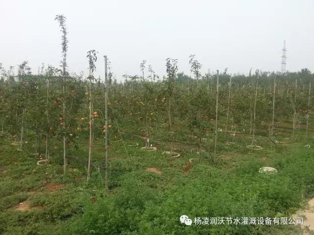 陜西滴灌管價格 陜西滴灌管價格
